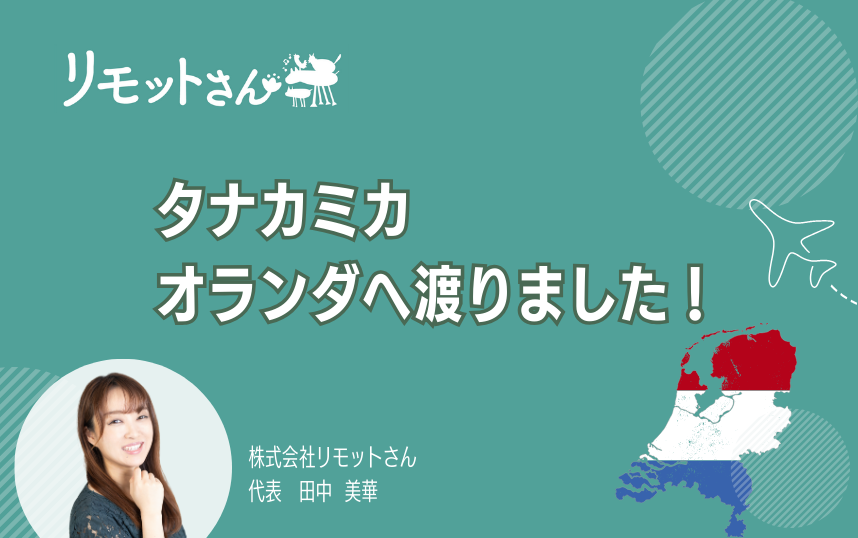 リモットさん：オンライン事務代行 タナカミカ、オランダへ渡りました！